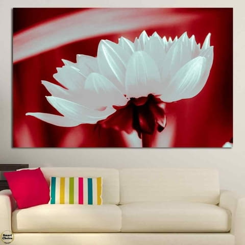 Картина пано за стена от 1 част - Бяла Хризантема - HD-504-1, city of Sofia - снимка 1