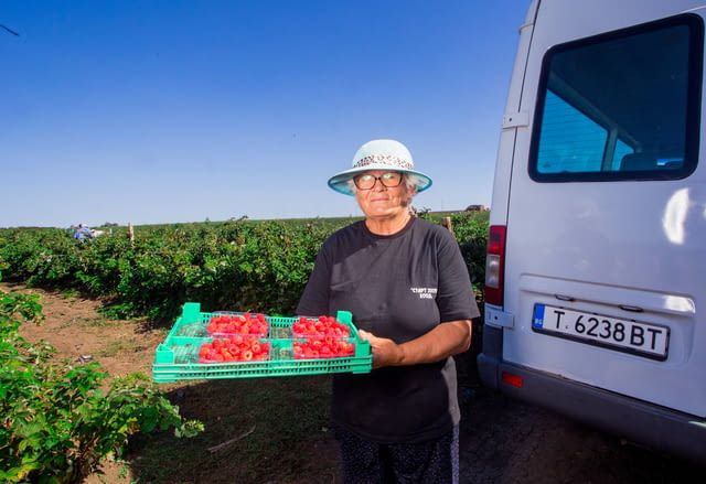 Старт 2005 ЕООД - град Попово | Земеделие - снимка 4