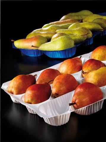 Подложки за свежи плодове - град Пловдив | Други - снимка 3