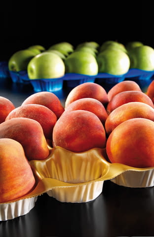 Подложки за свежи плодове - град Пловдив | Други - снимка 4