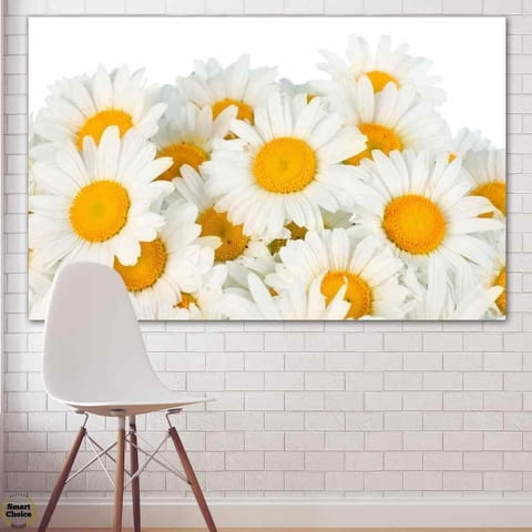 Картина пано за стена от 1 част - Букет бели маргаритки - HD-928-1