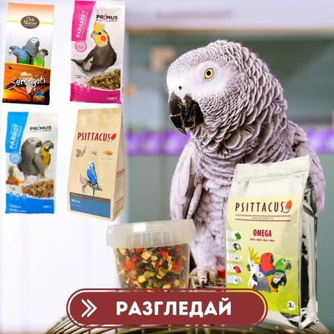 ЗоолендБГ ЕООД - град Сливница | Дейности - снимка 1