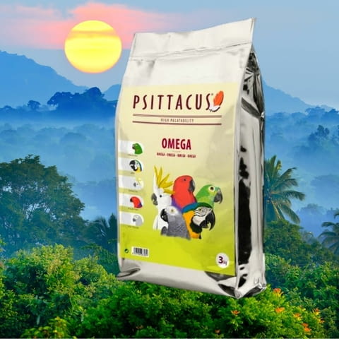 ЗоолендБГ ЕООД - град Сливница | Дейности - снимка 6