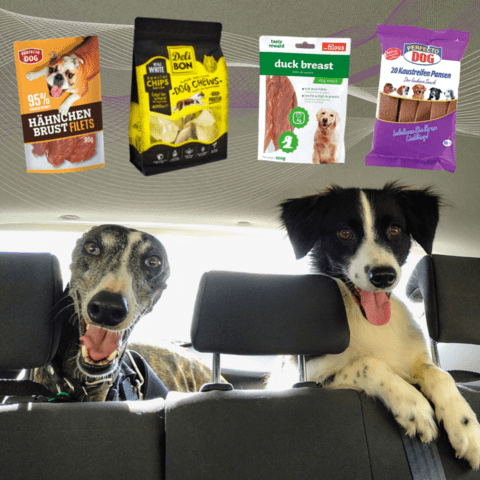 ЗоолендБГ ЕООД - град Сливница | Дейности - снимка 11