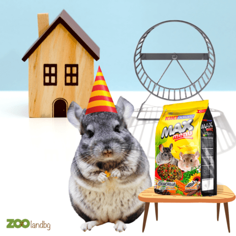 ЗоолендБГ ЕООД - град Сливница | Дейности - снимка 12