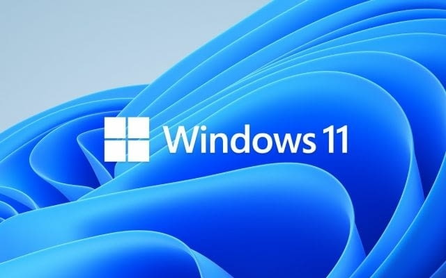 Windows 11 + MS Office 365