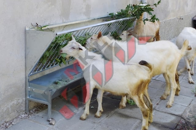 Стенна хранилка за овце и кози - град Габрово | Оборудване / Съоръжения - снимка 3