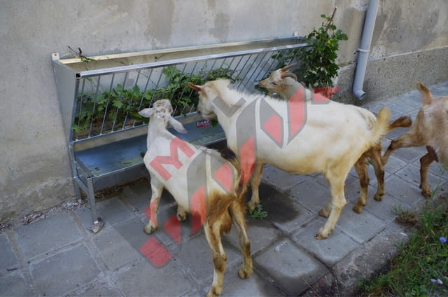 Стенна хранилка за овце и кози - град Габрово | Оборудване / Съоръжения - снимка 4