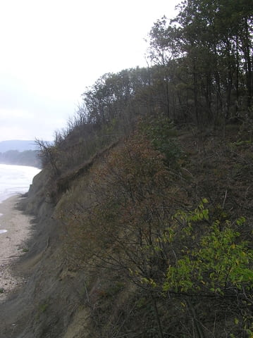 УПИ 27 дка в Бяла, обл. Варна 27164 м2, Виза, За жил.строителство - град Бяла | Парцели / Земя - снимка 2