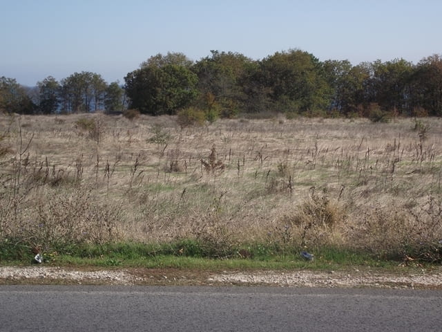 УПИ 27 дка в Бяла, обл. Варна 27164 м2, Виза, За жил.строителство - град Бяла | Парцели / Земя - снимка 5