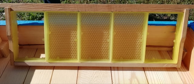 Малки пластмасови рамки за медени питки - град Бургас | Пчеларство - снимка 1