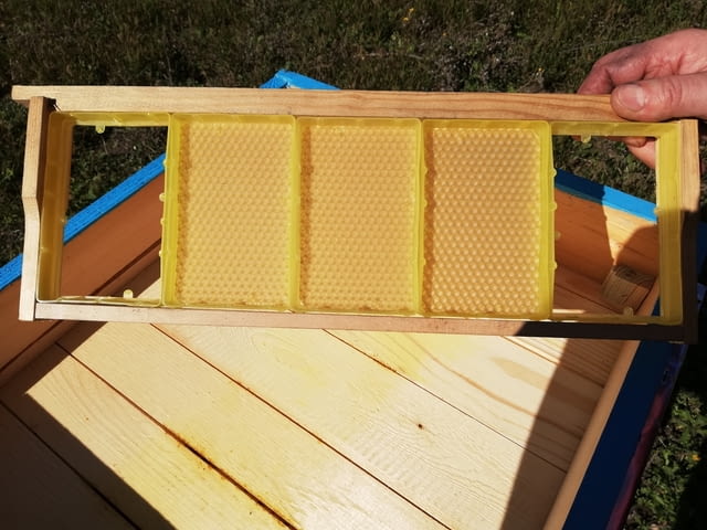 Малки пластмасови рамки за медени питки - град Бургас | Пчеларство - снимка 3