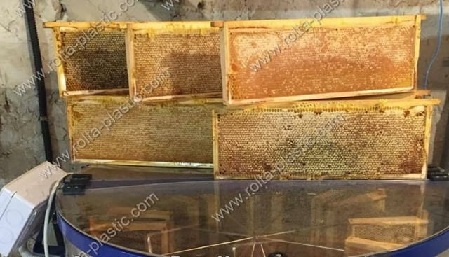 Пчелни полуизградени пластмасови основи за многократна употреба - снимка 3