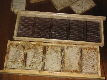 Пчелни пластмасови основи за директна консумация на чист пчелен мед и восък - снимка 3
