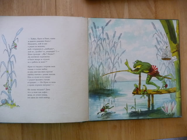 Кряк и Квак Лайош Ихас жабки жабешки истории жаби жабета, град Радомир | Детски Книжки - снимка 2
