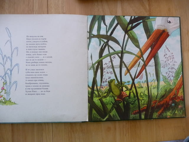 Кряк и Квак Лайош Ихас жабки жабешки истории жаби жабета, град Радомир | Детски Книжки - снимка 3