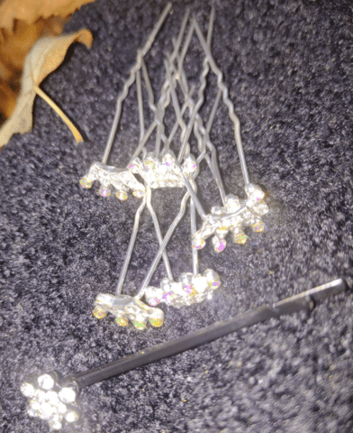 Игли за коса и фибичка Хамелеон - city of Montana | Hair Accessories - снимка 1