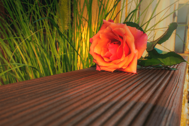 Декинг от дървесина, първокачествен дървен материал от производител - снимка 4