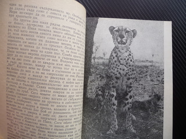 Зовът на Пипа - Джой Адамсън гепарди Африка диво хищници, град Радомир | Специализирана Литература - снимка 2