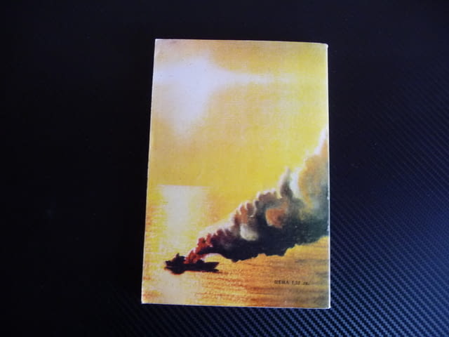 Пожар на борда Владислав - И. Мартиненко, Михаил Г. Ставицки, град Радомир - снимка 3