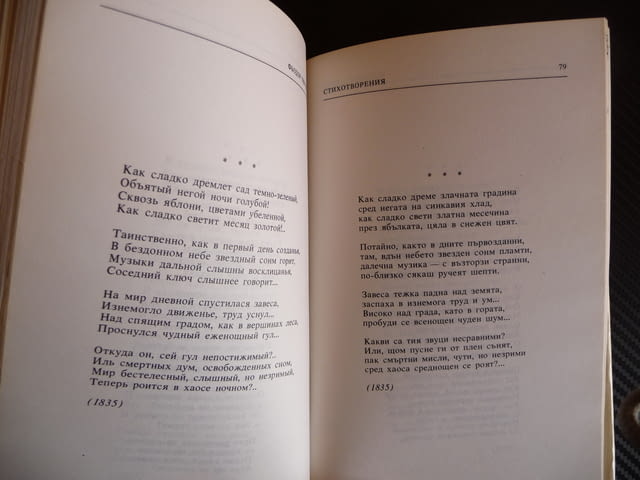 Стихотворения - Фьодор И. Тютчев поезия стихове - city of Radomir | Fiction - снимка 3