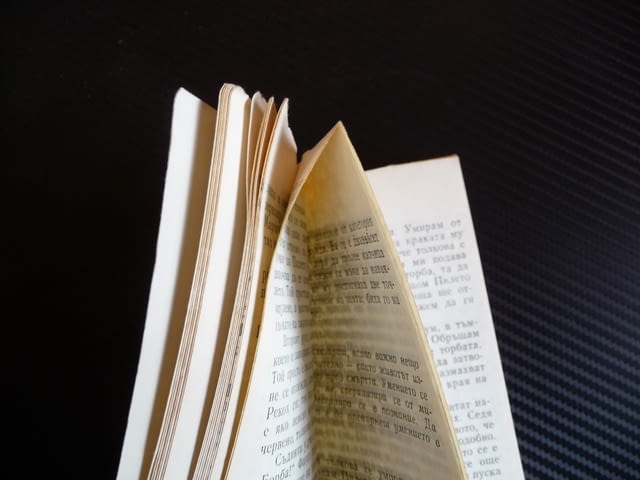 Пилето - Уилям Уортън - city of Radomir | Fiction - снимка 2