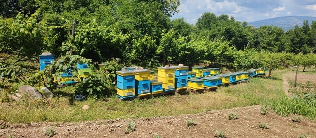 Кошерища за пчели- Кошери - Pchelni kosheri - Kosheri - град Якоруда | Други - снимка 1