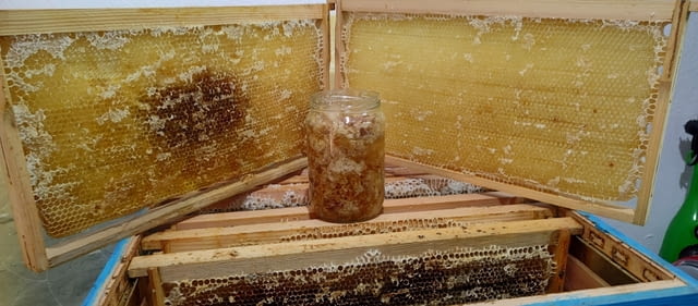 Пчелна продукция за пчели - град Якоруда | Зоомагазини / Развъдници - снимка 7