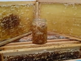 Пчелна продукция за пчели