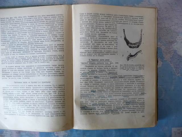 Анатомия на двигателния апарат Димитър Каданов скелет кости мускули - снимка 2
