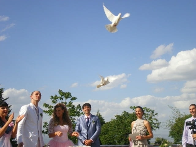 Бели гълъби за вашата сватба или тържество - град Перник | Сватби - снимка 2