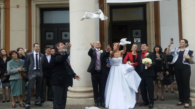 Бели гълъби за вашата сватба или тържество - град Перник | Сватби - снимка 4