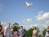 Бели гълъби за вашата сватба или тържество