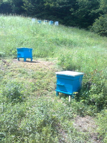 Кошери Кошерища - град Якоруда | Услуги - снимка 5