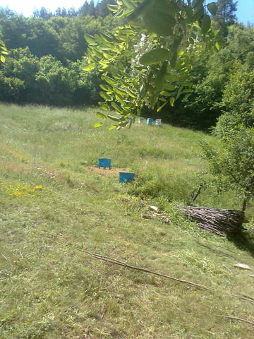 Кошери Кошерища - град Якоруда | Услуги - снимка 7