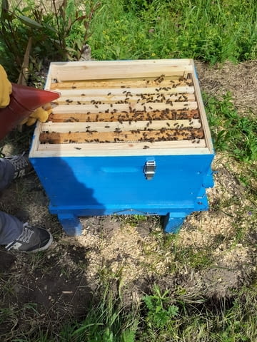 Кошери Кошерища - град Якоруда | Услуги - снимка 8