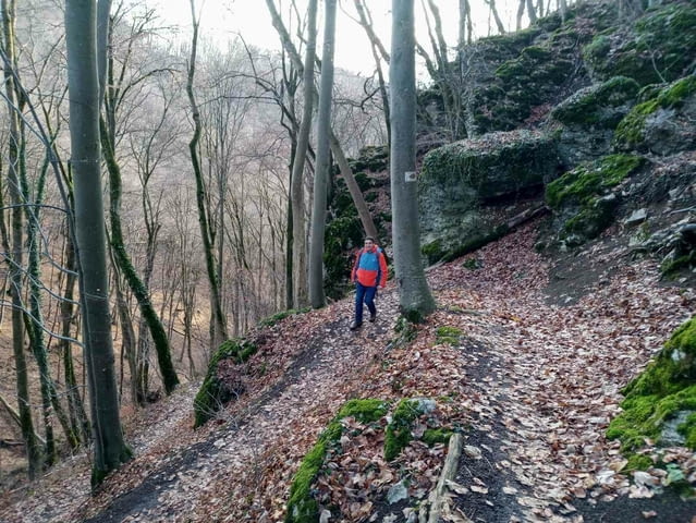 Хамали - city of Sofia | Transport - By Land