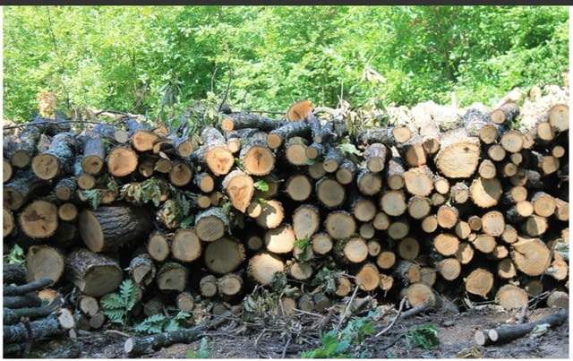 Продавам дърва за огрев - град Велико Търново | Други