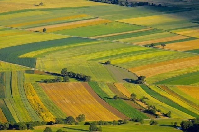 СТАВЕН АД купува земеделска земя в областите Монтана и Враца, city of Krivodol