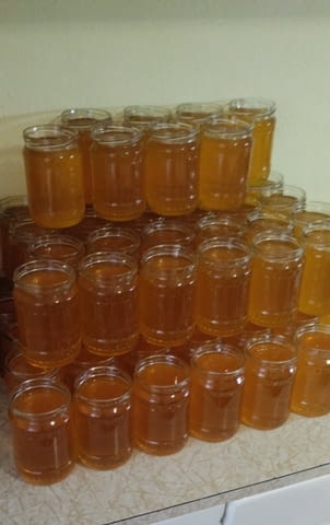 Продавам пчелен мед 2023 - град Нови Пазар | Пчеларство