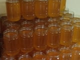 Продавам пчелен мед 2023