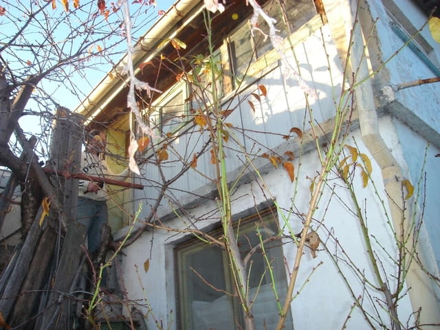 Къща с двор в Бургас, кв. Банево 2-етажна, Тухла, 50 м2 - град Бургас | Къщи / Вили - снимка 2