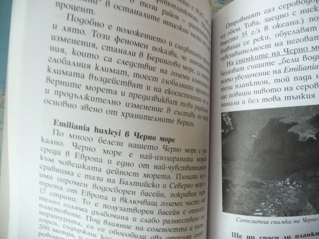 Малка книжка за науката Ваня Милева интересни факти, град Радомир | Специализирана Литература - снимка 2
