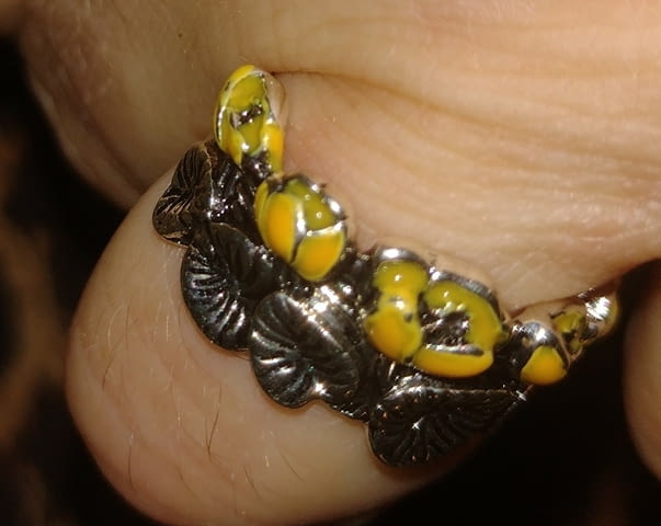 Пръстен Водни лилии нов Сребро, Unisex - град Берковица | Пръстени - снимка 1