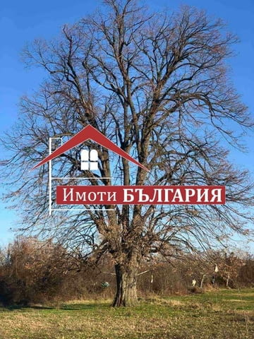 Стара къща в с.Бегово, обл.Пловдив 2-floor, Other, 100 m2 - village Bеgovo | Houses & Villas - снимка 7