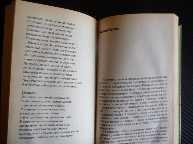 Книга за джунглата Ръдиард Киплинг Златни детски книги Маугли - снимка 3