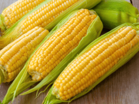 Купувам ЗЕМЕДЕЛСКА ЗЕМЯ всички землища в Община Дългопол, град Дългопол | Парцели / Земя