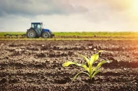 Купувам ЗЕМЕДЕЛСКА ЗЕМЯ всички землища в Община Свиленград, град Свиленград