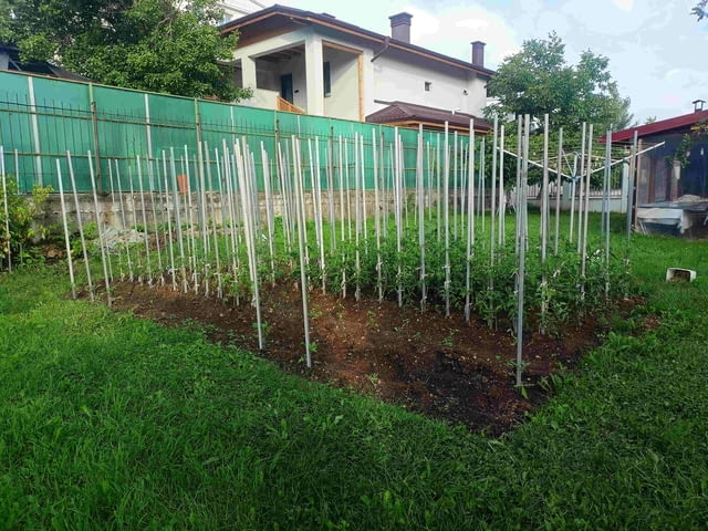 Градински колчета от поцинкована ламарина – колчета за домати в София - снимка 9