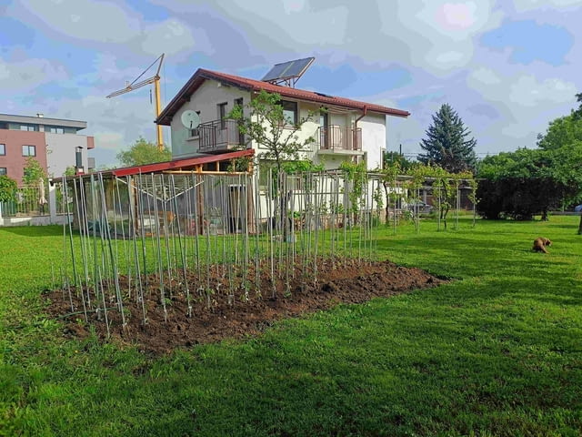 Градински колчета от поцинкована ламарина – колчета за домати в София - снимка 11